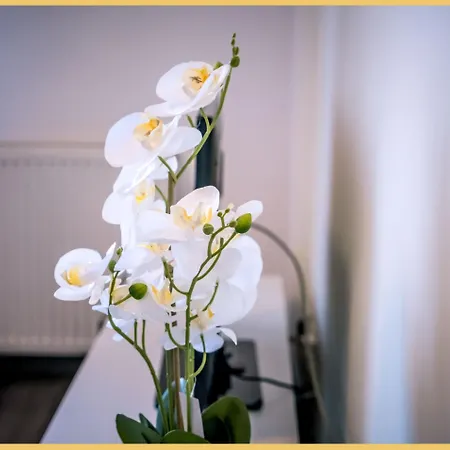 Chez Dams I T2 I Apartment